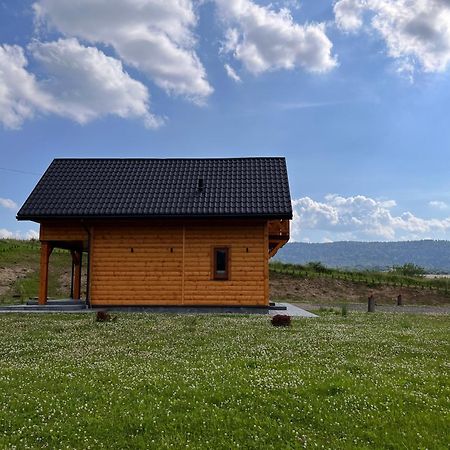 Gospodarstwo Agroturystyczne Bieszczadzki Blizniak Baligród エクステリア 写真